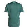 Camiseta de fútbol Argelia 2ª equipación 2024-25